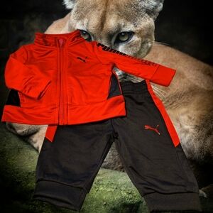 Puma 0-3m Tracksuit
